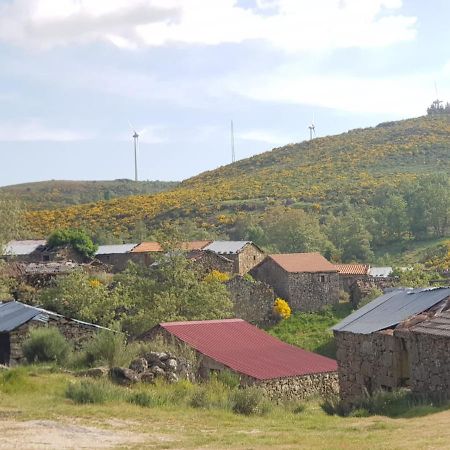 Cantinho Da Du Casa de hóspedes Lamego Exterior foto