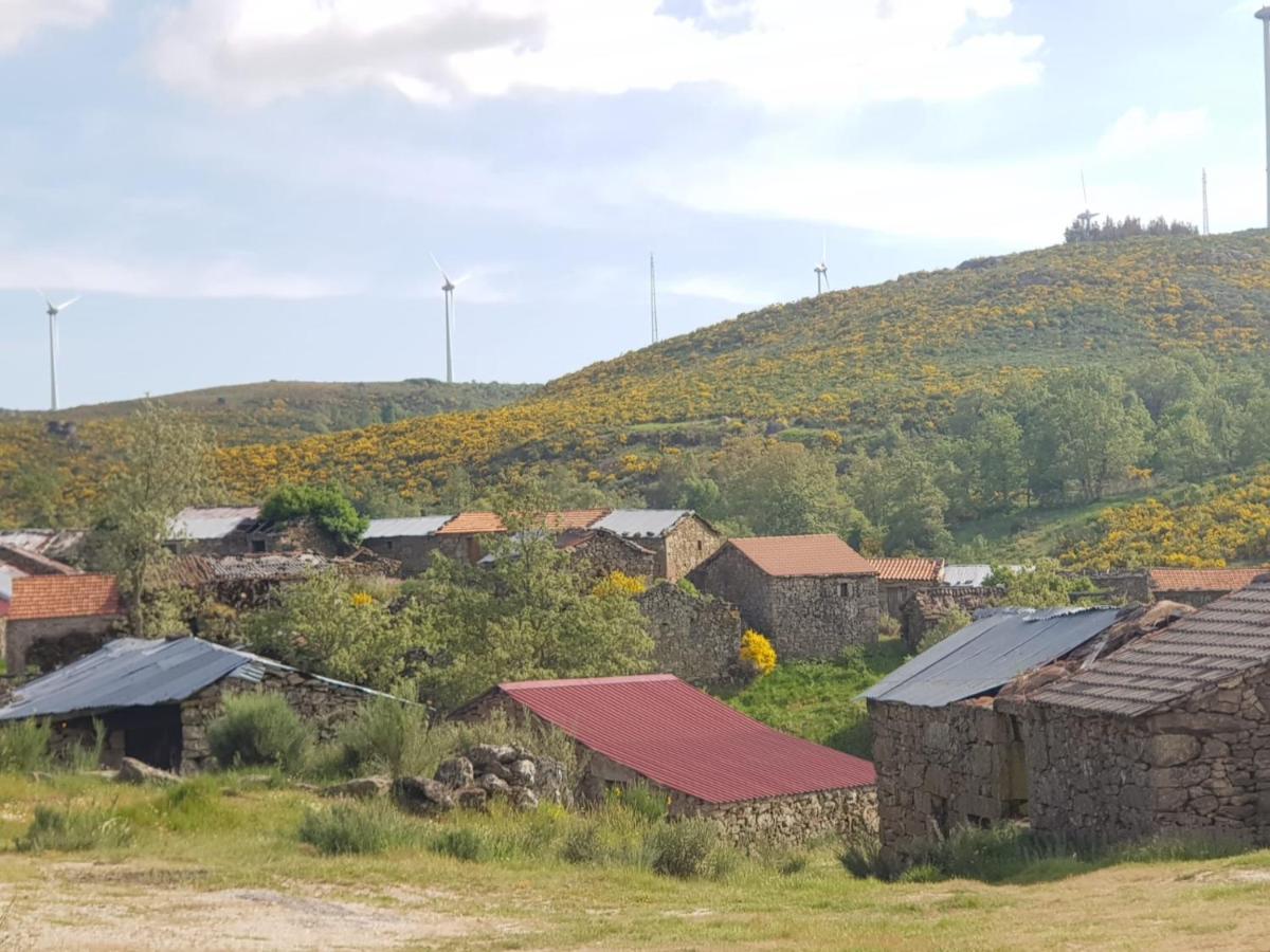 Cantinho Da Du Casa de hóspedes Lamego Exterior foto
